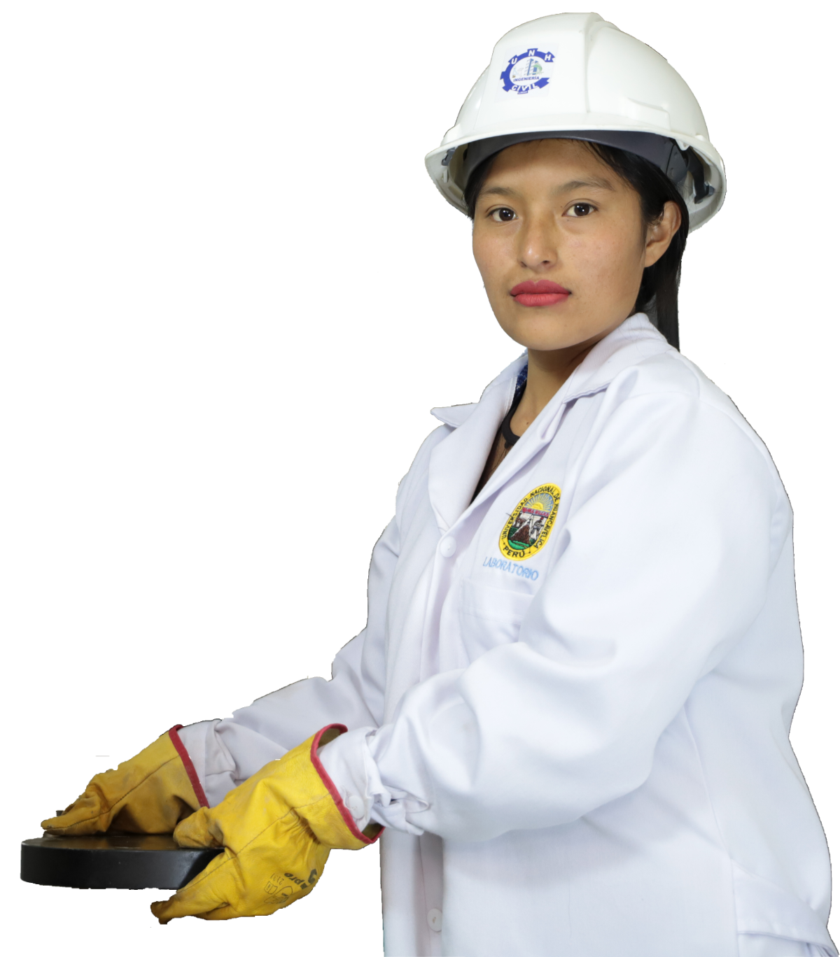 Investigadora UNH