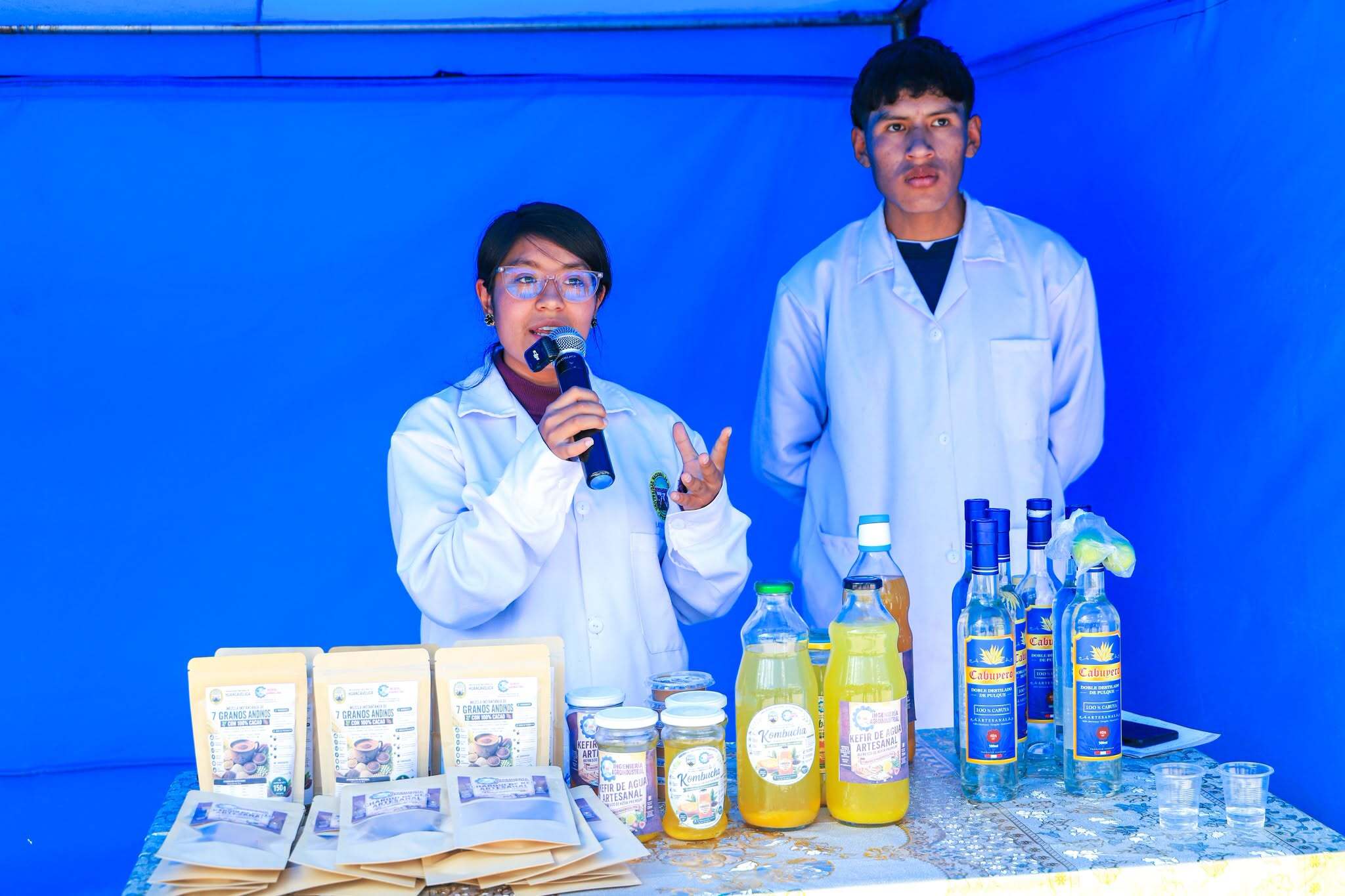 Actividades del Instituto de Ciencias de Ingeniería